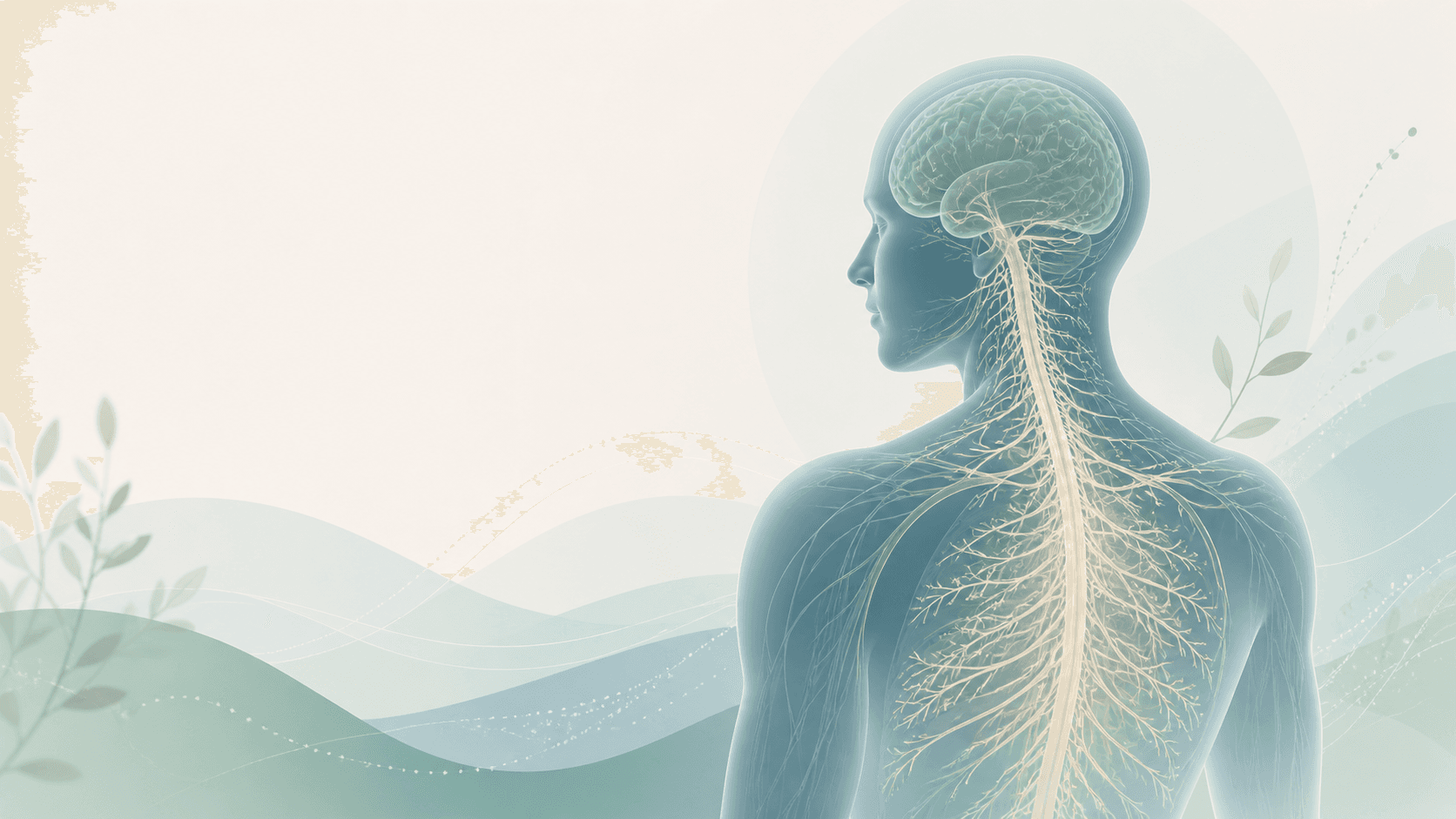 How Stress Affects the Nervous System