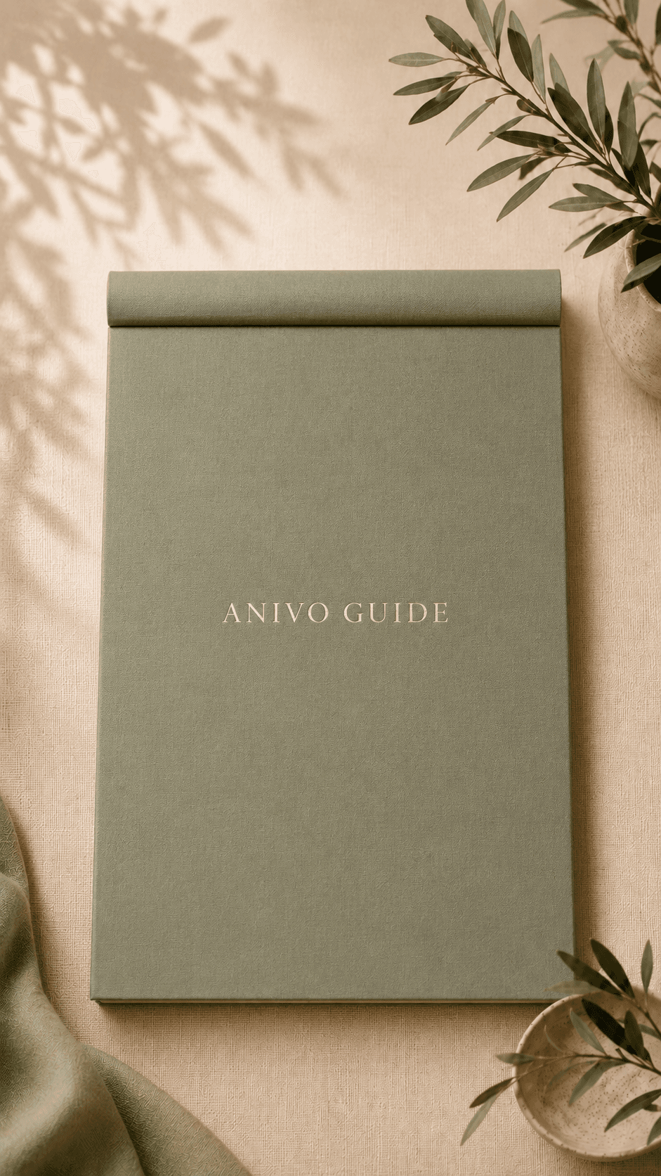 ANIVO Guide — closed